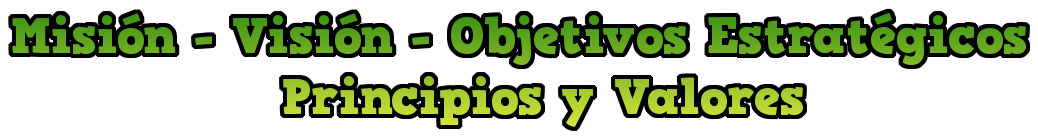 Misión Vision Objetivos 1